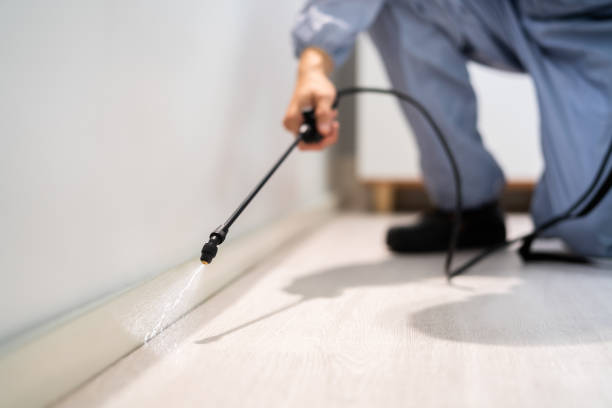 Licensed Fumigation Services service in Wauregan, CT - Nex Pest Control