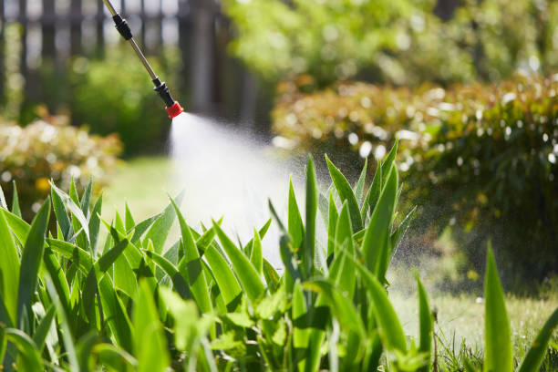 24/7 Emergency Fumigation Services experts in Wauregan, CT