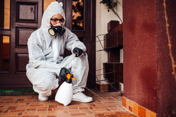 Reliable Fumigation Services contractor in Wauregan, CT by Nex Pest Control