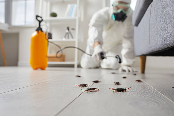 Trusted Fumigation Services service in Wauregan, CT - Nex Pest Control