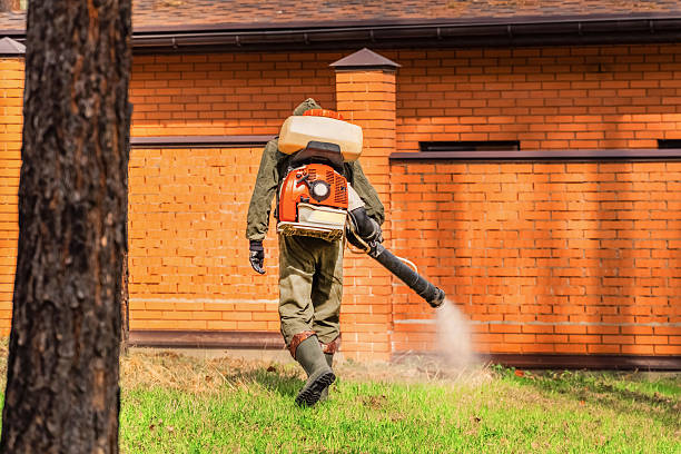 Trusted Rodent Control service in Wauregan, CT - Nex Pest Control